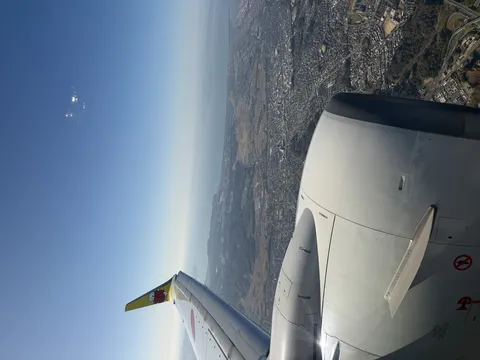 空からの絶景と小さな旅の友