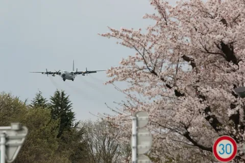 春を感じるc130