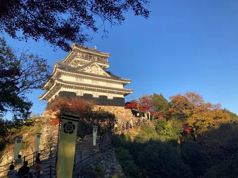秋色に染まる古城への道