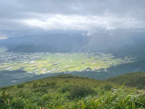 谷に広がる生命のパッチワーク