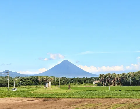雄大な山の麓、広がる田園風景
