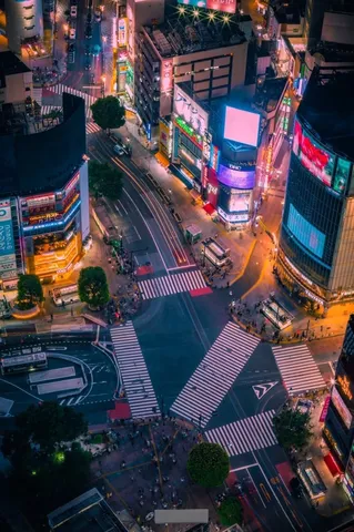 ネオンの交差点、夜の回路