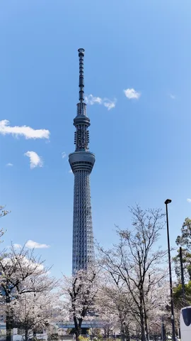春空とタワーのコントラスト