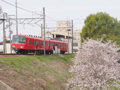 花と赤の列車が紡ぐ春の景