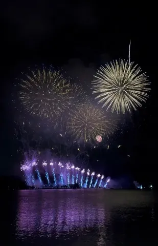 夜空を彩る光のショー