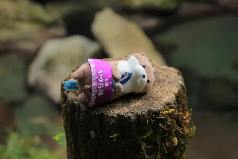 もふもふぬいぐるみの森のひととき