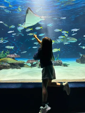 光と影、水中の夢