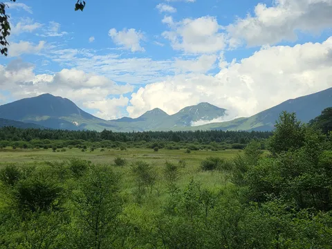 静寂の山麓、広がる緑の絨毯