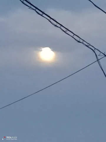 月と鉄線の巡り合わせ