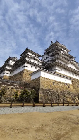 白壁と石垣の城影