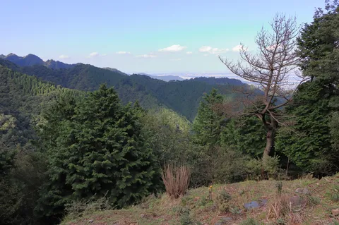山の風景に揺れる静けさ