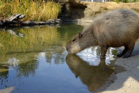 水面に映る静寂