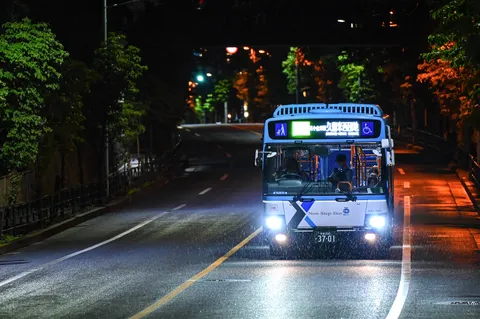 雨夜のバス、灯りが照らす道