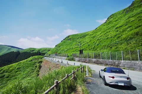 緑の山道と白い車