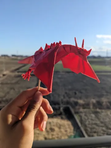 まさかの青空ドラゴン散歩