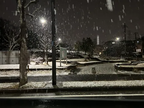 雪降る夜の静かな公園