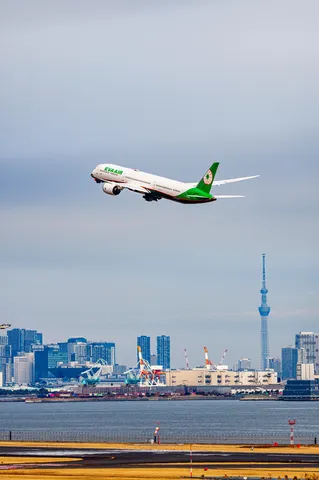 空へと旅立つ、緑の翼