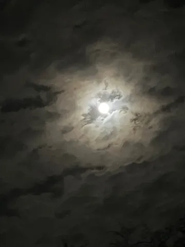 月光を包む雲の輪郭