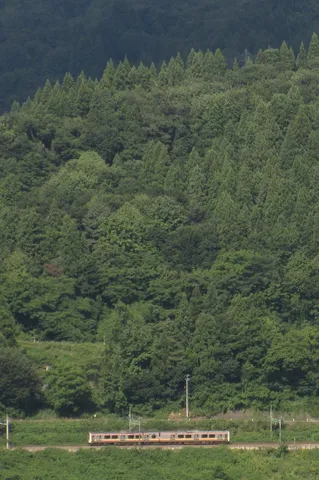 緑濃き山を駆け抜ける列車の旅