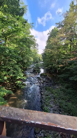 木洩れ日の渓流風景