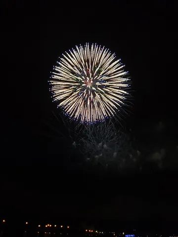 夜空に咲いた線香花火