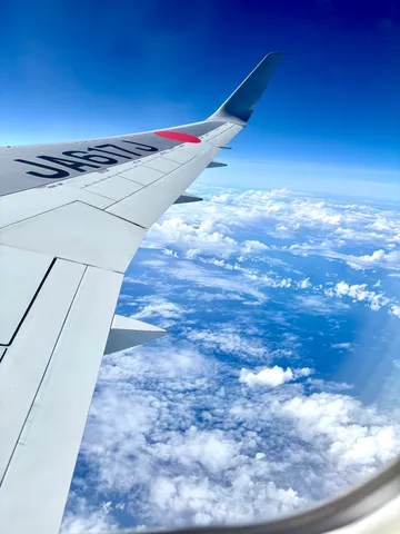 翼の先、雲の海へダイブ？