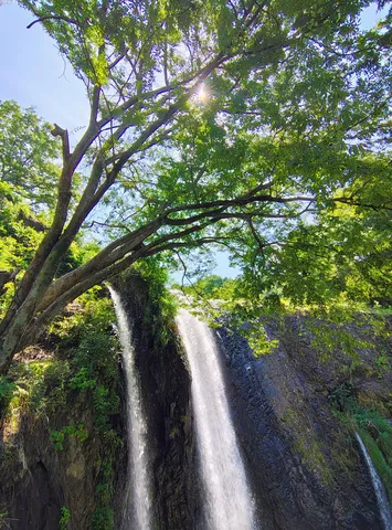 木陰の光と滝の景