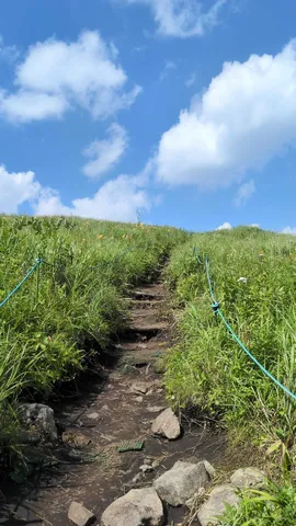 緑と青空が広がる山道の誘い