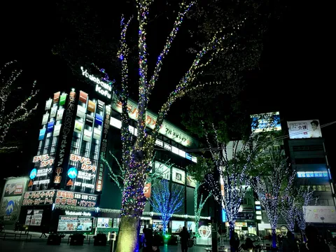 夜の電気街、光る木々がお出迎え