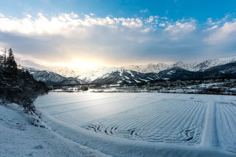 冬の光と雪原のコントラスト