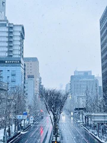 雪景色に包まれた大通り