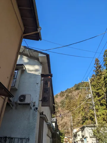 木漏れ日と古民家、静寂の宿