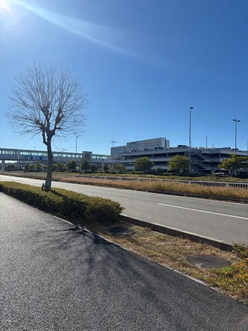 冬晴れの空と舗装路