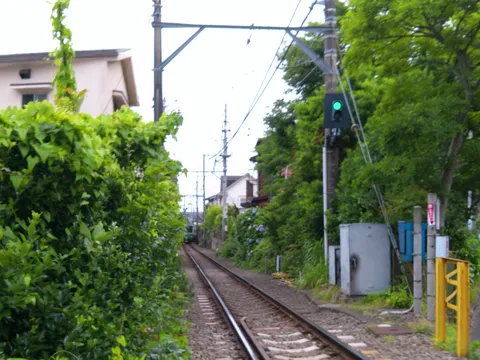 緑に続く線路の情景