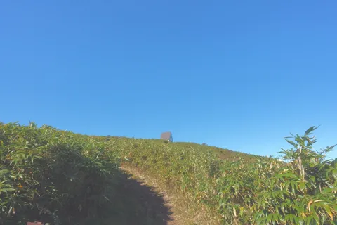 丘の上の小さな小屋へ続く道