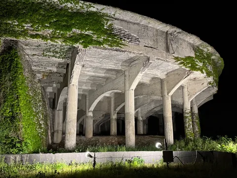苔むす廃墟の秘密基地
