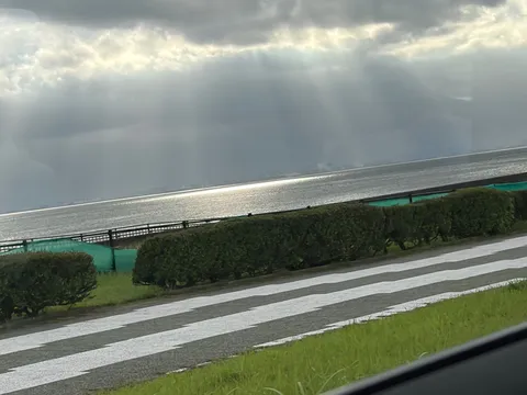 雨上がりの光芒