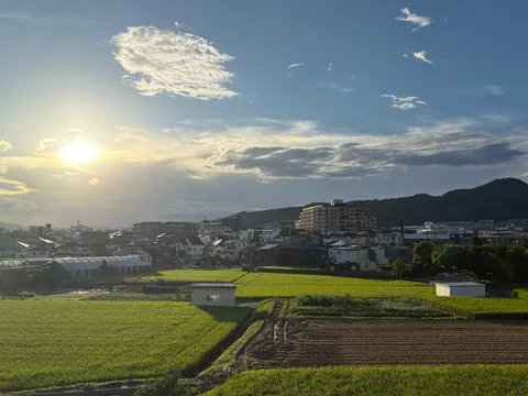 夕日と畑ののどかな光