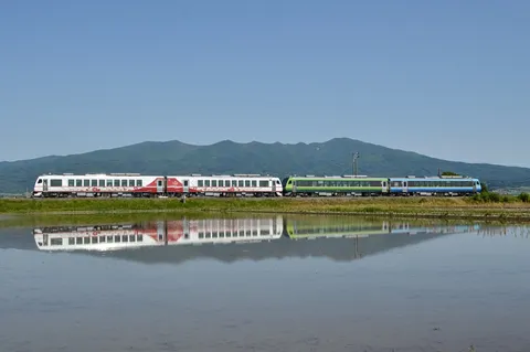 田園風景と列車の静かな邂逅