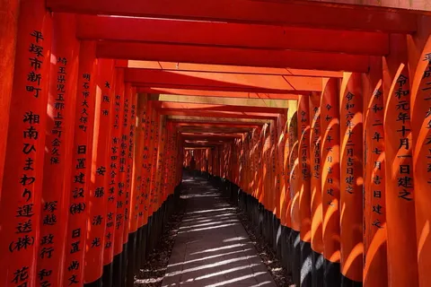 光と影が織りなす鳥居道