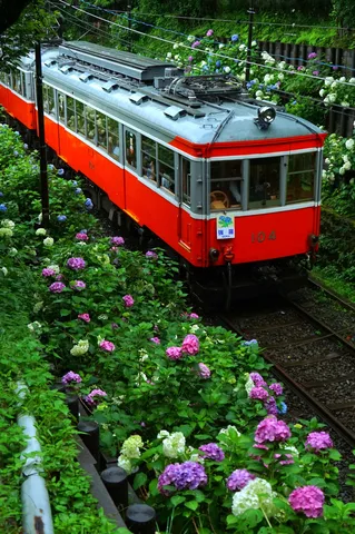 花咲く線路、赤い電車の旅路