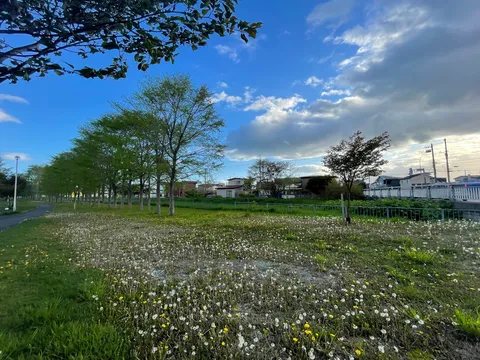 風と花の隙間公園