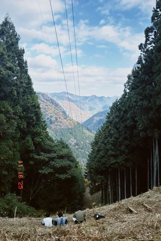森を抜ける風、山並みへ
