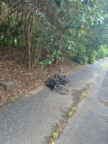 倒れた自転車、物語の始まり？