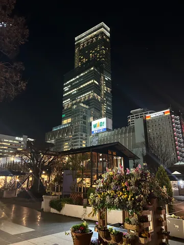 都会の夜に咲く彩り