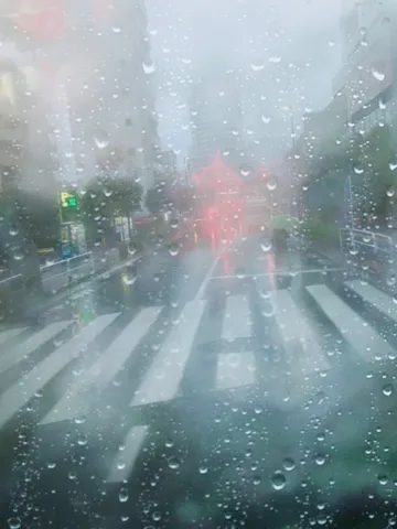 雨に霞む街の交差点