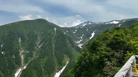 夏の名残、山の緑と雪渓