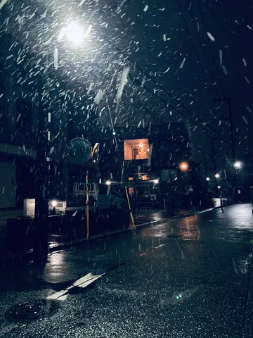 雪明かりの静かな夜道
