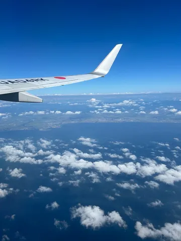 雲海を割る翼
