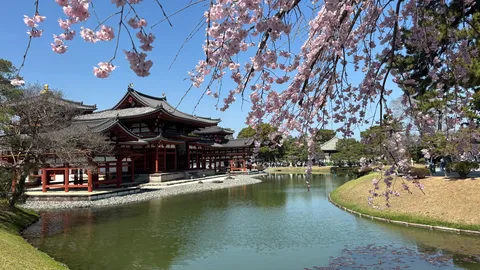 日本の春、水辺の雅